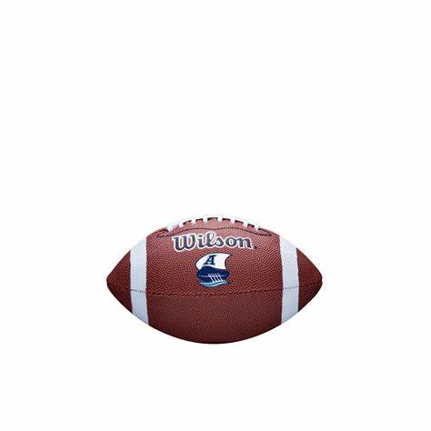 CFL Team Mini- Toronto