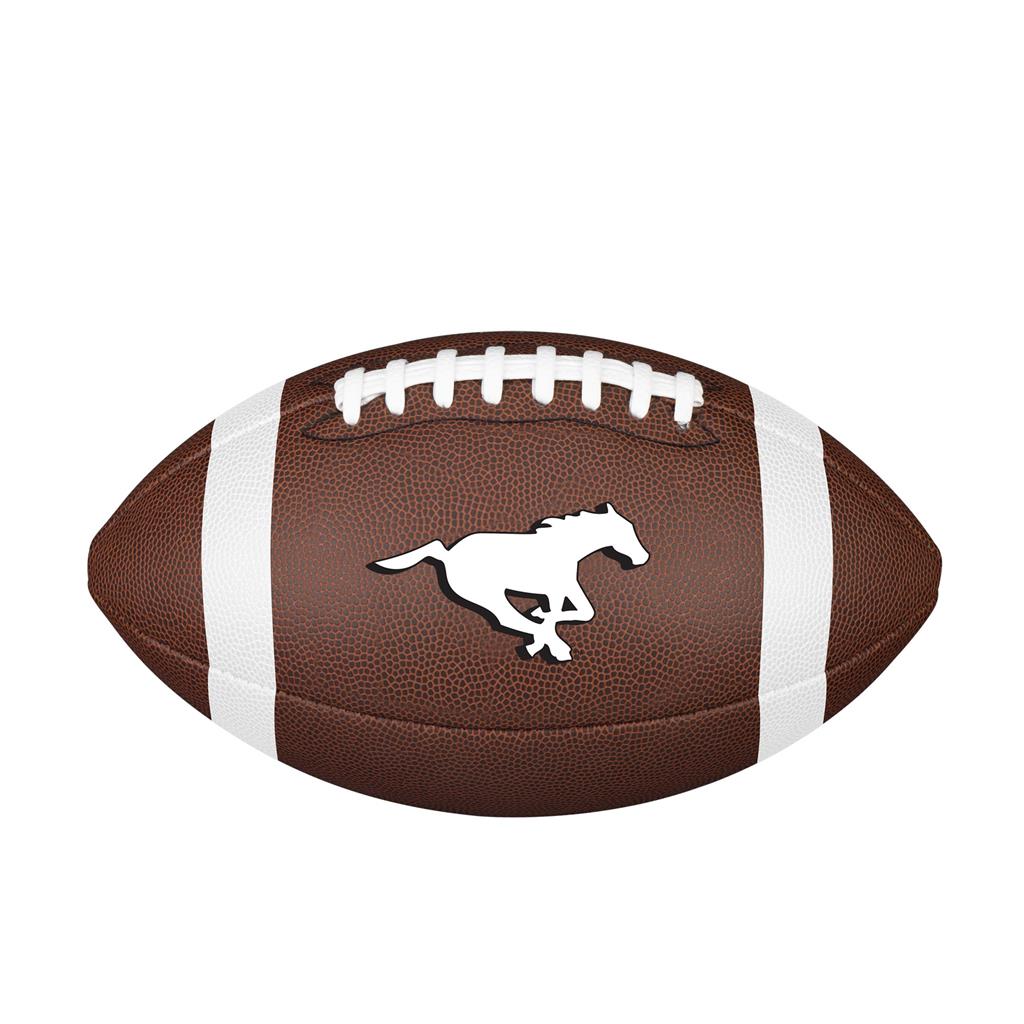 CFL Backyard Legend - CGY