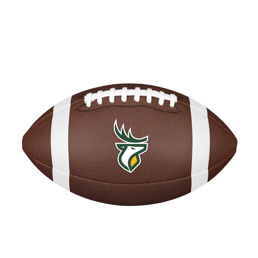 CFL Backyard Legend - EDM