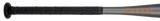 2027 Mizuno F26 CRBN X Fastpitch Bat (-10)