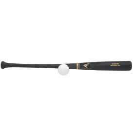 Easton Pro Stix  Training Set (Bat/Ball)